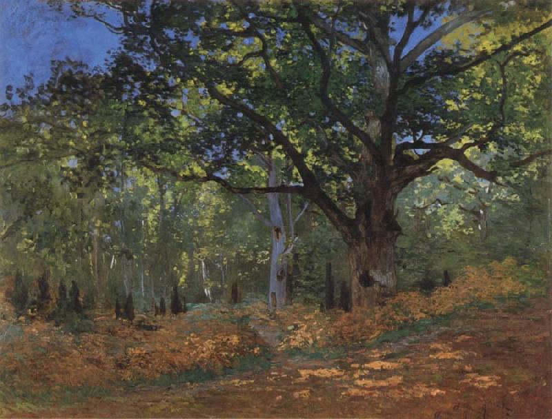 Claude Monet The Bodmer Oak,Forest of Fontainebleau oil painting image